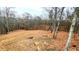 Wooded area in the backyard with trees, offering privacy and natural beauty at 7460 Highway 101 N, Rockmart, GA 30153