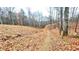 Leaf-covered backyard path leading into the woods, ideal for nature walks at 7460 Highway 101 N, Rockmart, GA 30153