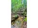 Clear creek flowing through a wooded area, highlighting the natural beauty of the land at 7460 Highway 101 N, Rockmart, GA 30153