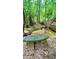 Beautiful scene of a creek, with a stone bench beside the creek, creating a serene outdoor space at 7460 Highway 101 N, Rockmart, GA 30153