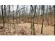 Gorgeous vacant lot with trees for shade and privacy and shed, ready for your dream home at 7460 Highway 101 N, Rockmart, GA 30153