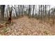 Hike, walk, bike, explore all the beauty of nature in this mature forest with elevation at 7460 Highway 101 N, Rockmart, GA 30153