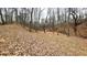 Build your own private getaway in a mature forest on this vacant lot with shed at 7460 Highway 101 N, Rockmart, GA 30153