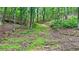The property has a natural clearing and sloping topography with trees nearby at 7460 Highway 101 N, Rockmart, GA 30153
