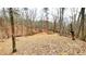 Cleared area in the woods with lots of trees and table set, ready to entertain your guests at 7460 Highway 101 N, Rockmart, GA 30153