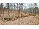A view of serene land with a stream and trees, perfect for building your dream property at 7460 Highway 101 N, Rockmart, GA 30153