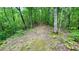 View of the land featuring mature trees and a natural path, showcasing the property's terrain at 7460 Highway 101 N, Rockmart, GA 30153