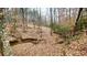 Property with lots of trees offering privacy and natural beauty, perfect for nature lovers at 7460 Highway 101 N, Rockmart, GA 30153