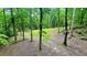 Grassy area surrounded by mature trees, showcasing the property's natural setting at 7460 Highway 101 N, Rockmart, GA 30153