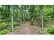 Lush wooded land with mature trees, creating a private and scenic natural environment at 7460 Highway 101 N, Rockmart, GA 30153