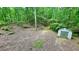 A grassy lot with a storage shed, surrounded by tall green trees, creating privacy at 7460 Highway 101 N, Rockmart, GA 30153
