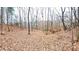Beautiful land and mature trees create a tranquil and private setting to build your dream home at 7460 Highway 101 N, Rockmart, GA 30153