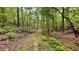 Verdant wooded land with a natural path winding through the trees, showcasing the property's beauty at 7460 Highway 101 N, Rockmart, GA 30153