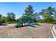 Community playground featuring blue slides and green frames on a mulch surface surrounded by trees at 803 Levi Farms Ln, Canton, GA 30115