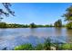 Scenic view of a large pond with lush greenery in the foreground and trees surrounding the water at 803 Levi Farms Ln, Canton, GA 30115