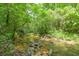 Secluded creek nestled in lush greenery offers a tranquil escape and natural beauty at 10 Berryhill Se Pl, Cartersville, GA 30121