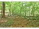 Lush, wooded land with walking trails provides a peaceful retreat and outdoor recreation opportunities at 10 Berryhill Se Pl, Cartersville, GA 30121