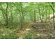 Serene wooded land with walking trails, perfect for nature enthusiasts and outdoor activities at 10 Berryhill Se Pl, Cartersville, GA 30121