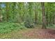 Secluded backyard with mature trees creating a private and tranquil outdoor space at 2297 Herring Woods Way, Grayson, GA 30017