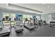 Well-equipped fitness center with treadmills and exercise machines at 207 Harmony Lake Dr, Canton, GA 30115