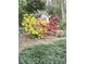 Backyard landscaping featuring an outbuilding, colorful flowers, and various plants and mulch at 1935 Shrader Ct, Lawrenceville, GA 30044