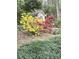 View of backyard shed framed by vibrant yellow and pink flowers amid serene, landscaped grounds at 1935 Shrader Ct, Lawrenceville, GA 30044