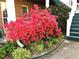 Exterior view showcases the vibrant landscaping with a red azalea bush next to a brick home at 1935 Shrader Ct, Lawrenceville, GA 30044