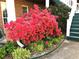 A vibrant bush with red flowers adds a pop of color to the front of the home at 1935 Shrader Ct, Lawrenceville, GA 30044