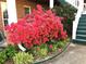 Beautiful flowering azalea bush next to brick home with stairs leading to upper porch at 1935 Shrader Ct, Lawrenceville, GA 30044