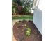 Well-manicured flower bed with mulch and blooming flowers complements the house at 5567 Stapleton Dr, Dunwoody, GA 30338
