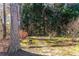 A peaceful backyard featuring stone path, lush greenery and mature trees, creating a serene outdoor retreat at 2041 Democracy Dr, Buford, GA 30519