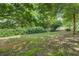 Lush backyard featuring mature trees and ample green space for various outdoor activities at 3870 Michaels Creek Ct, Loganville, GA 30052
