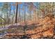 A wooded area, trail and natural space by the property at 3300 Windy Ridge Se Pkwy # 1603, Atlanta, GA 30339