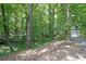 Large backyard surrounded by mature trees, offering a private and peaceful setting at 295 Lakemont Dr, Roswell, GA 30075