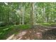 Secluded backyard with mature trees, creating a private outdoor oasis for nature lovers to enjoy at 295 Lakemont Dr, Roswell, GA 30075