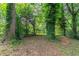 Backyard with trees and wooded area at 4029 Moffat Ct, Decatur, GA 30035