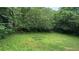 Lush backyard filled with mature trees and greenery at 850 Fourth St, Stone Mountain, GA 30083