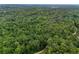 Secluded wooded property with winding path through lush green trees at 6605 Old White Mill Rd, Fairburn, GA 30213