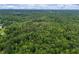 Lush acreage of wooded residential land featuring dense trees, perfect for privacy at 6605 Old White Mill Rd, Fairburn, GA 30213