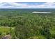 Serene aerial shot of lush green forest and trees creating a haven of natural tranquility and beauty at 6605 Old White Mill Rd, Fairburn, GA 30213