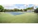 Well-maintained tennis courts providing space for friendly matches and competitive play at 33 New Kent Ct, Villa Rica, GA 30180