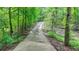 An up-close shot of a concrete driveway surrounded by lush trees and plants at 2864 Winder Hwy, Dacula, GA 30019