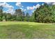 Spacious yard with lush green grass and mature trees, perfect for outdoor activities at 2864 Winder Hwy, Dacula, GA 30019