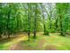 View of lush green backyard with tall trees and abundant grass at 5857 Earlwane Dr, Lithonia, GA 30058