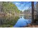 Scenic view of the tranquil pond surrounded by lush trees, offering a peaceful and serene setting at 65 Deer Run Ln, Mcdonough, GA 30252