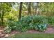 Beautiful landscaping in the yard, featuring a variety of blooming plants and lush greenery at 9041 Par Dr, Douglasville, GA 30134