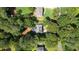 Aerial view of a home surrounded by mature trees in a quiet neighborhood at 7635 Wynfield Dr, Cumming, GA 30040