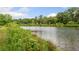 Scenic view of the pond surrounded by lush greenery at 4649 Dahlia Dr, Pine Lake, GA 30072