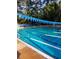 Outdoor pool with lane lines, blue pennant flags, and surrounding trees at 894 Nottingham Dr, Avondale Estates, GA 30002