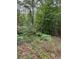 Secluded wooded backyard featuring a canopy of trees and thick ground cover, a nature lover's dream at 1829 Detroit Ave, Atlanta, GA 30314